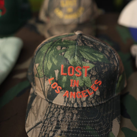 Lost in Los Angeles 5panel - TSSLA